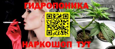 амф Аргун