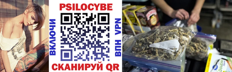 Галлюциногенные грибы MAGIC MUSHROOMS  закладка  Аргун 