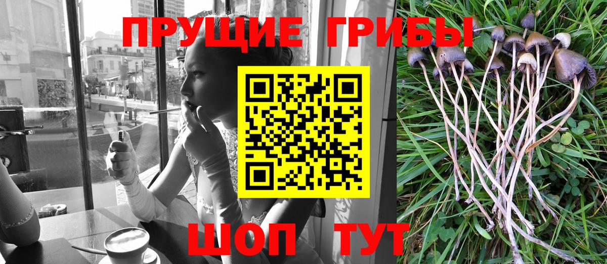 Аргун  где можно купить   Вход с VPN  Галлюциногенные грибы Magic Shrooms  Псилоцибиновые грибы мухоморы 