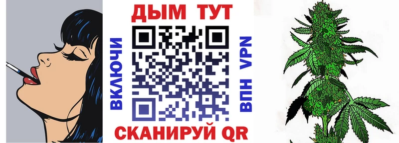 как найти закладки  shop телеграм  Шишки марихуана AK-47  Аргун 